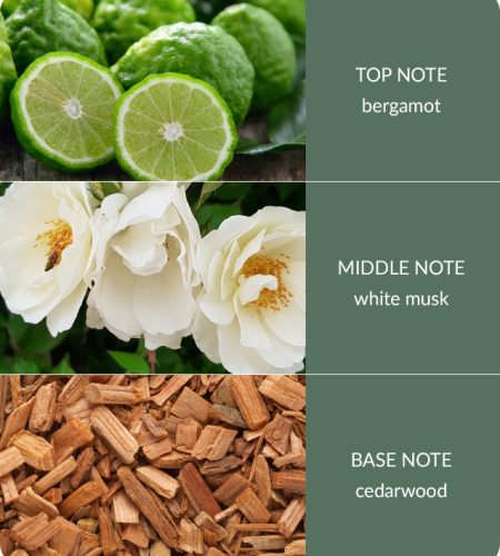 Cedarwood-White-Musk-1.jpg