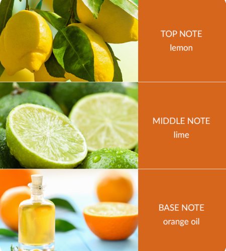 Citrus-Crush-Notes.jpg