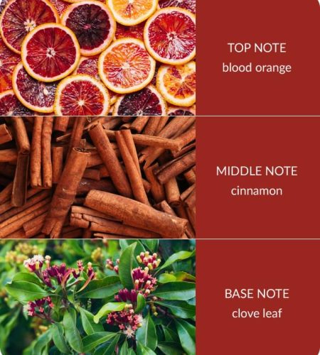 Notes-Orange-Zest-and-Clove-Oil-Medium.jpg