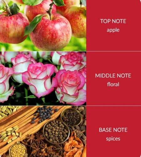 notes-bamboo-spiced-apple-cinnamon-medium-3.jpg