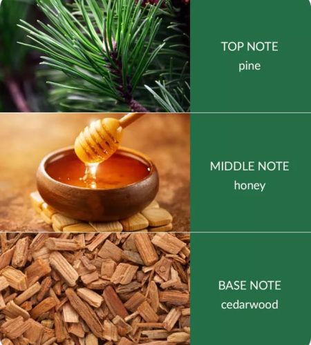 notes-winter-pine-and-cedarwood-medium-1.jpg